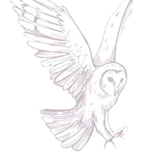 cropped Owl Booking Keeping owl open wings 1