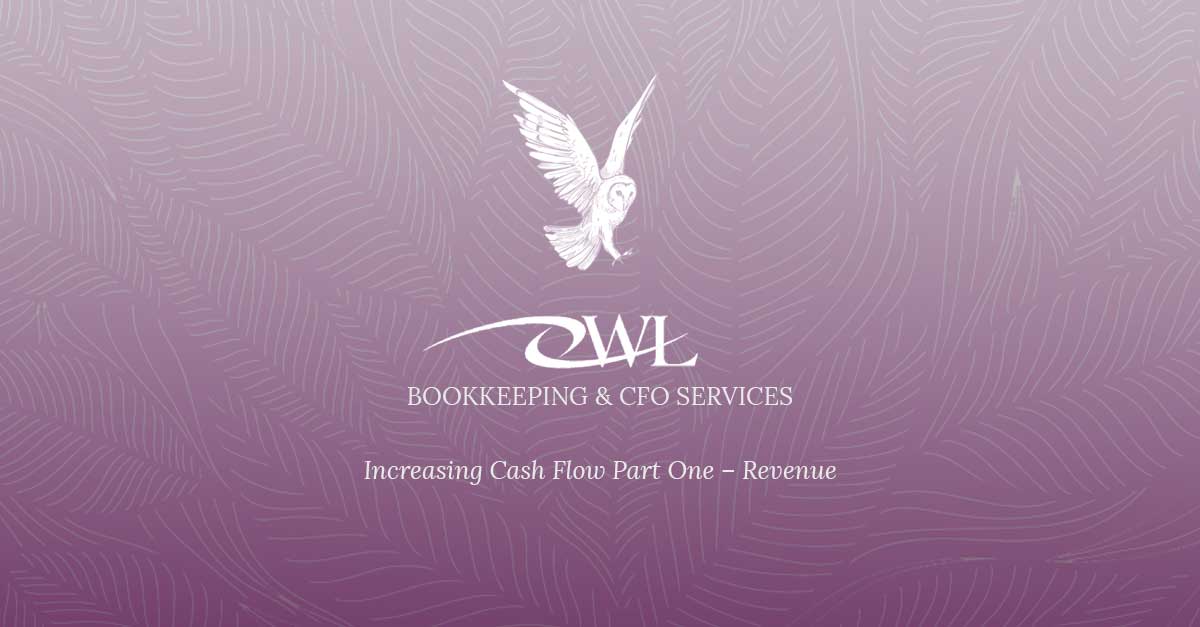 Increasing Cash Flow Part One – Revenue