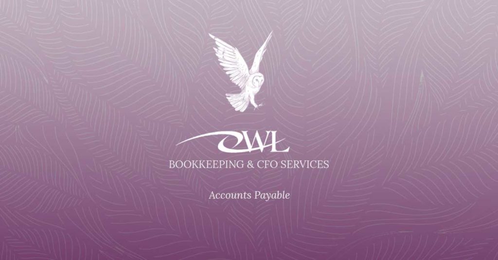 Owl Bookkeeping And CFO Services Accounts Payable