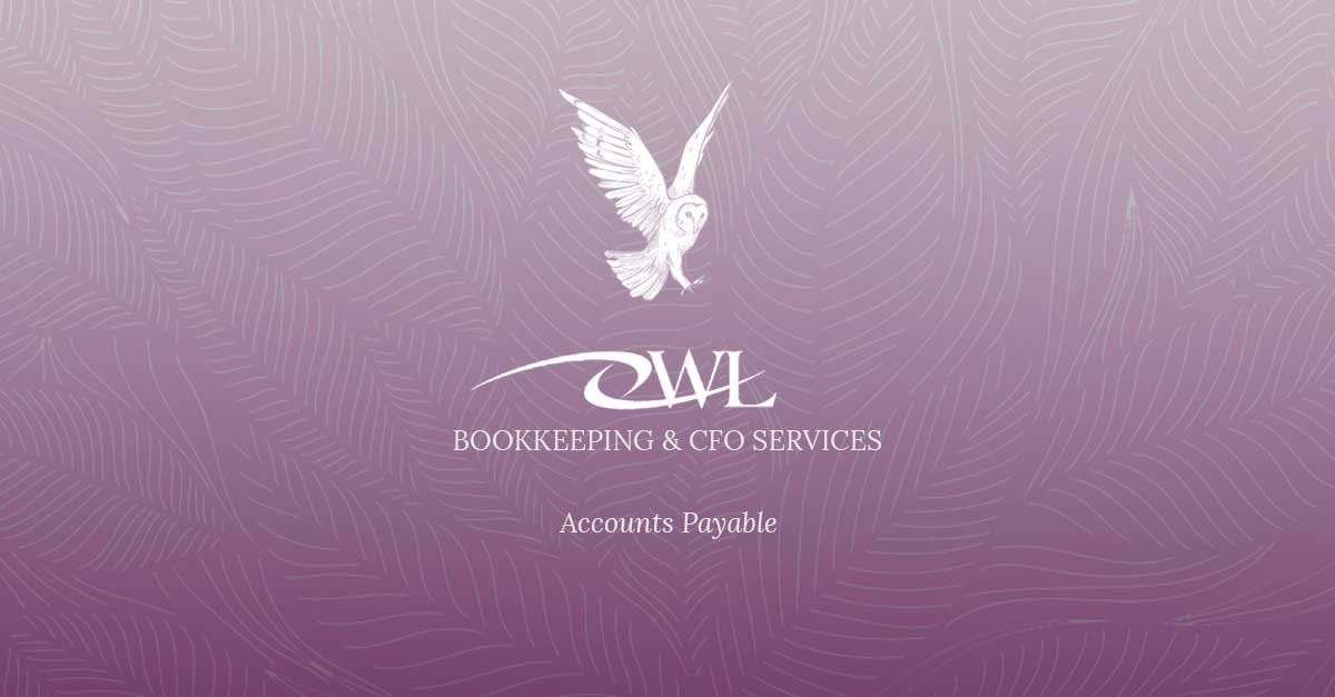 Owl Bookkeeping And CFO Services Accounts Payable