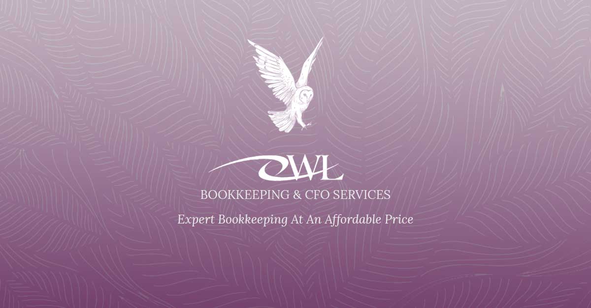 Owl Bookkeeping and CFO Services