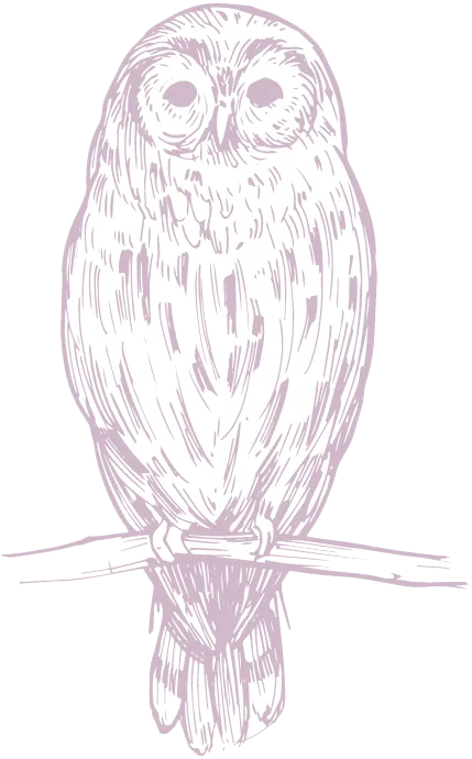 Owl Bookkeeping